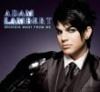 Whataya want from me - Adam Lambert