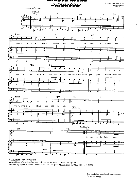 Mirror In The Bathroom Klavier, Gesang & Gitarre PDF Noten von The