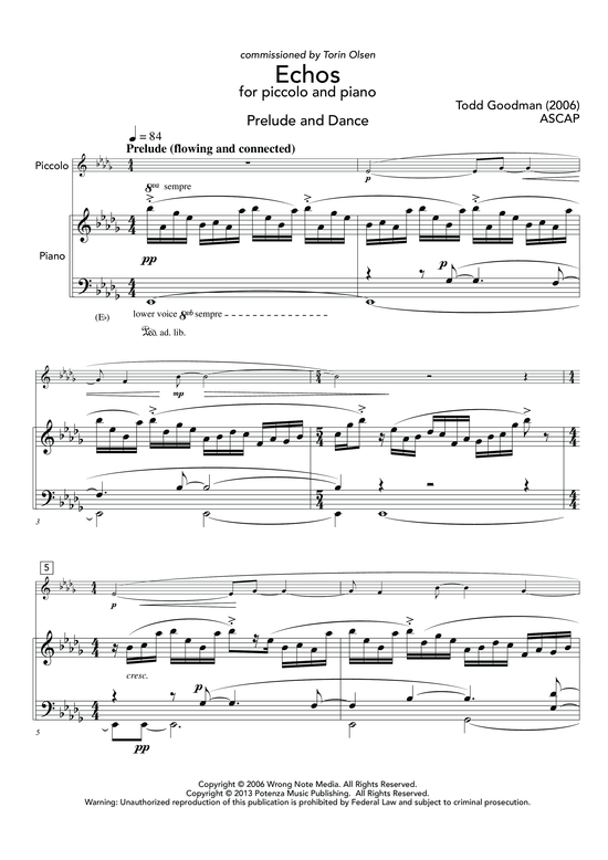 Echos (Piccolo Fl te + Klavier) (Klavier  Querfl te) von Todd Goodman