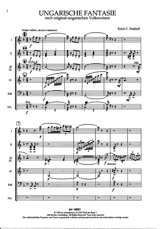 Ungarische Fantasie Partitur (Akkordeonorchester) (Akkordeonorchester) von Erich C. Frohloff (nach ungarischen Volksweisen)