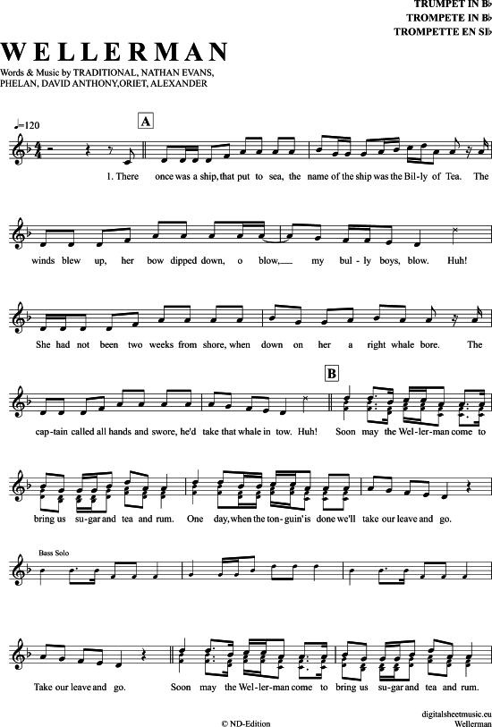 Wellerman текст. Wellerman sea shanty ноты. Wellerman sea shanty ноты. текст песни wellerman. Wellerman текст.