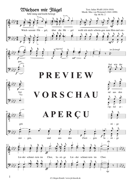 W chsen mir Fl gel Op. 66 Nr. 2 (M nnerchor) (M nnerchor) von Max von Weinzierl