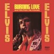 burning love piano, vocal & guitar chords right hand melody elvis presley