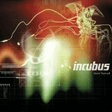 drive easy guitar incubus