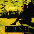 fields of gold clarinet solo sting