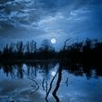 moonlight in vermont viola solo karl suessdorf