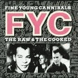 she drives me crazy trumpet solo fine young cannibals