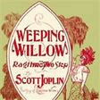 weeping willow rag easy piano scott joplin