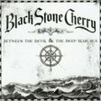 white trash millionaire guitar tab black stone cherry