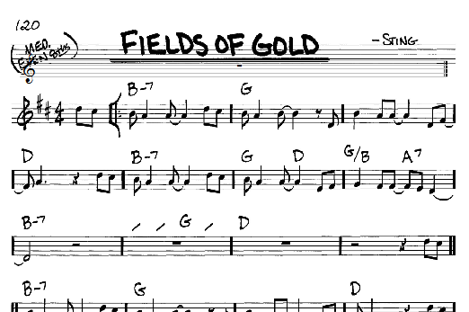 Fields Of Gold (Real Book  Melody & Chords  C Instruments) von Sting