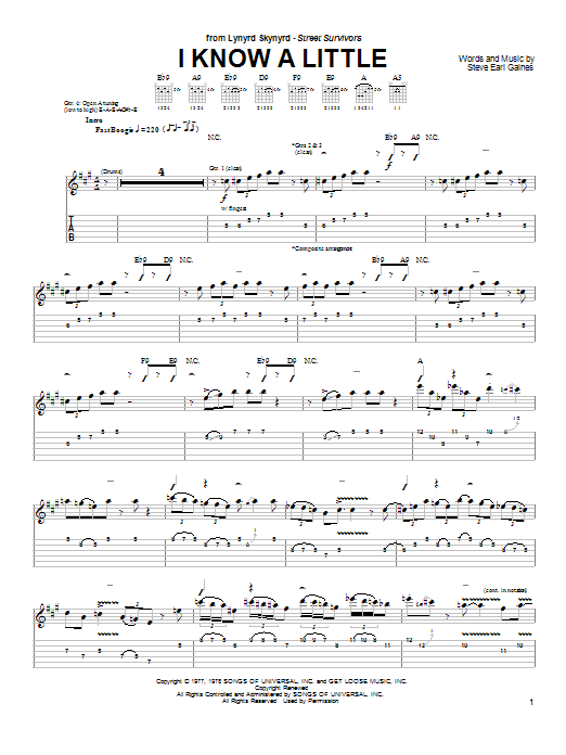 I Know A Little (Easy Guitar) von Lynyrd Skynyrd