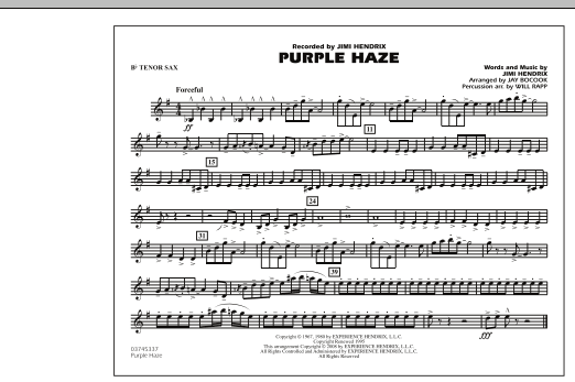 Purple Haze - Bb Tenor Sax (Marching Band) von Jay Bocook