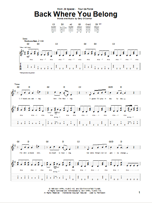 Back Where You Belong (Guitar Tab) von 38 Special