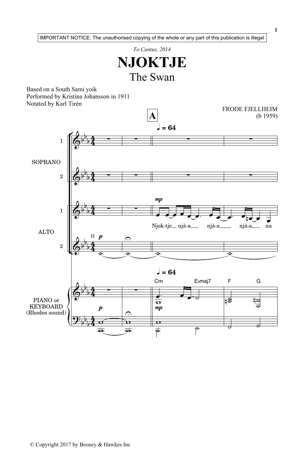 Njoktje (SSA Choir) von Frode Fjellheim