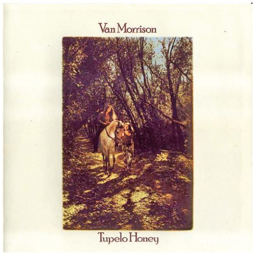 cover: Wild Night, Van Morrison, Gesang, Gitarre, Klavier