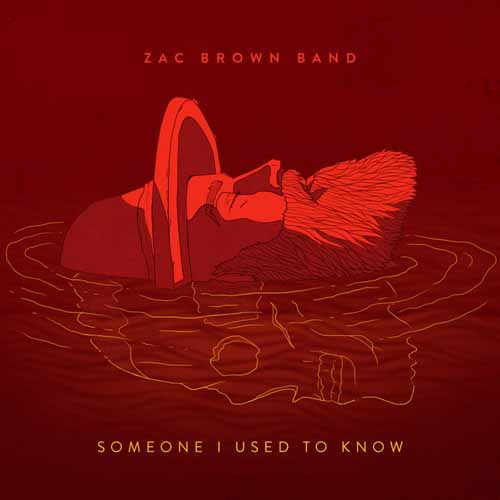 cover: Someone I Used To Know, Zac Brown Band, Gitarre