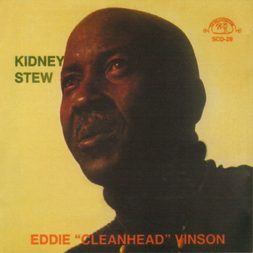 cover: Kidney Stew Blues, Eddie Vinson, Gesang, Gitarre, Klavier