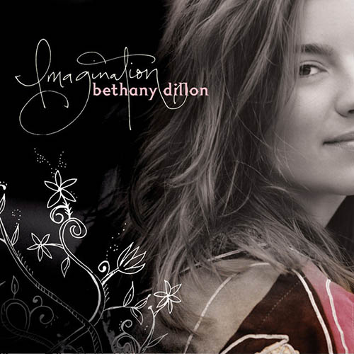 cover: Airplane, Bethany Dillon
