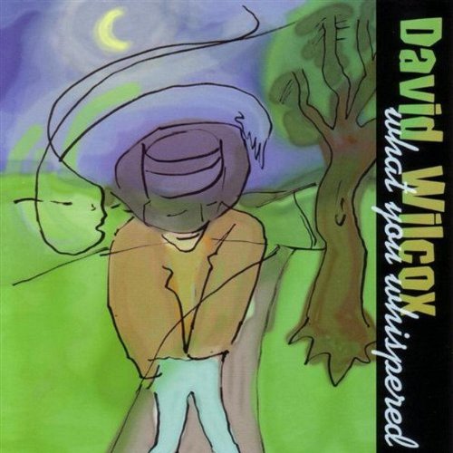 cover: Deeper Still, David Wilcox