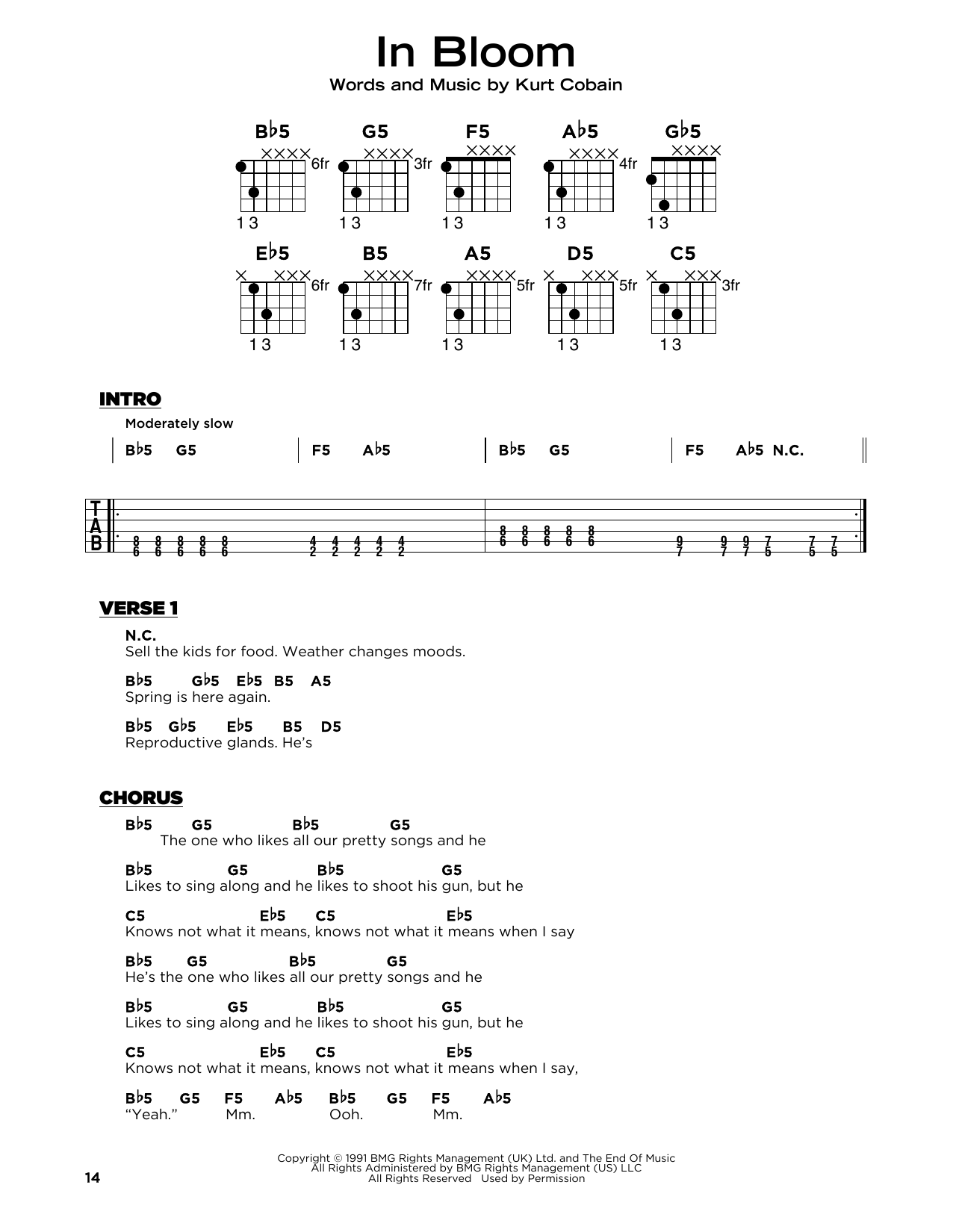 Produktgalerie: Seite 1 von 1 In Bloom, Nirvana, Gitarre