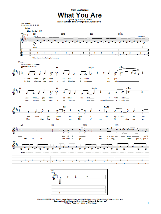 Product gallery: Page 1 of 1 What You Are, Audioslave