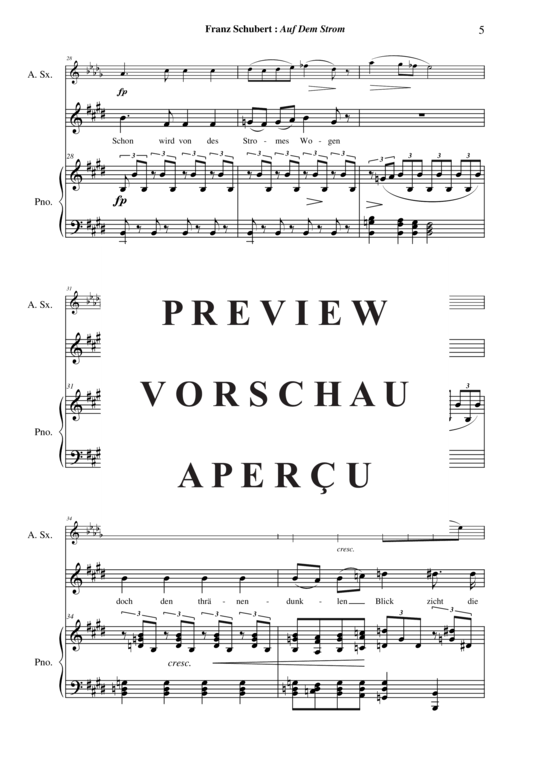 Product gallery: Page 6 of 21 Auf Dem Strom , , (vocals, alto saxophone + piano)