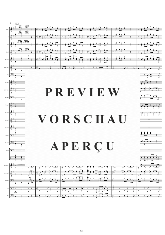 gallery: Gruß an Bad Füssing, , Großes Blasorchester