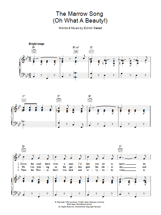 Produktbild zu: The Marrow Song (Oh What A Beauty)