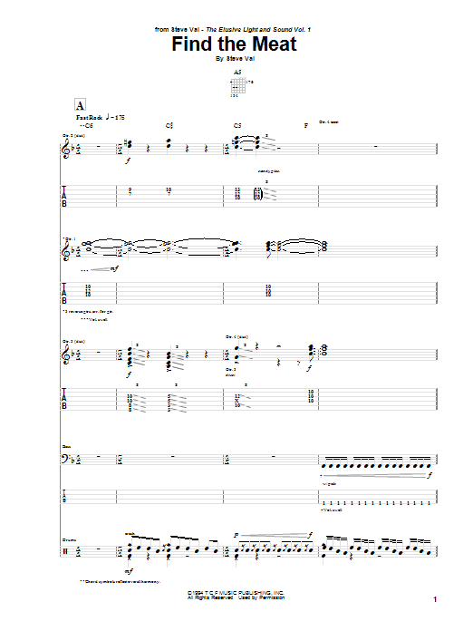 Produktgalerie: Seite 1 von 1 Find The Meat, Steve Vai, Gitarre