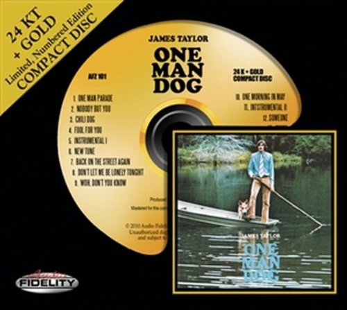 cover: Don't Let Me Be Lonely Tonight, James Taylor