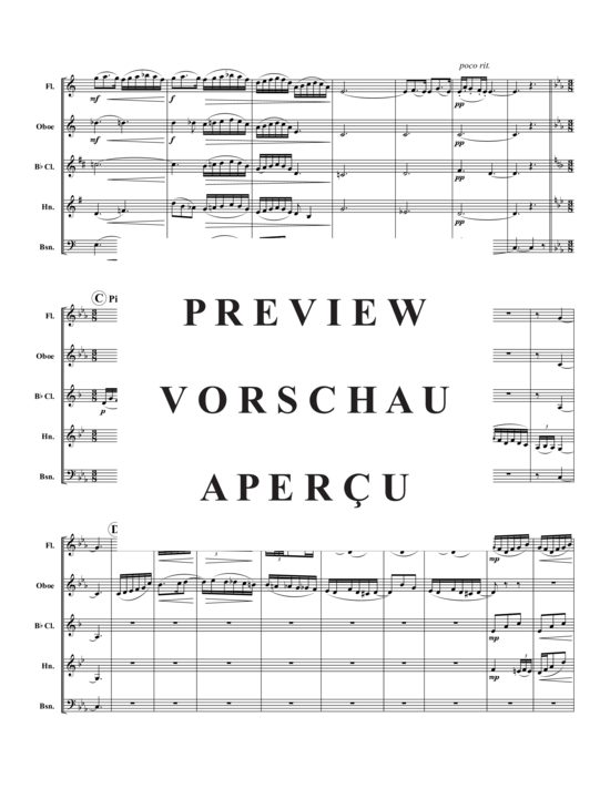 Produktgalerie: Seite 3 von 16 Andantino (3.Satz) , ,  (Holzbläser-Quintett)