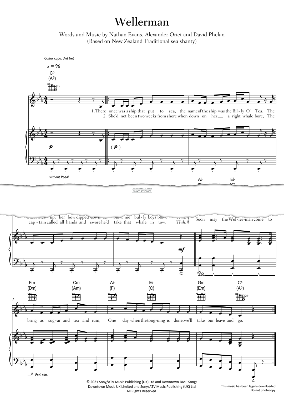Produktgalerie: Seite 1 von 1 Wellerman, Nathan Evans, Gesang, Gitarre, Klavier