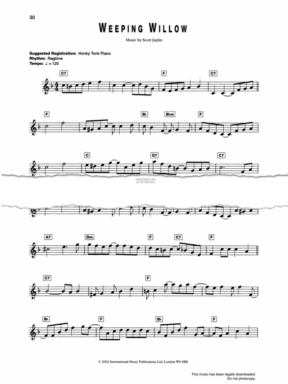 gallery: Weeping Willow, Scott Joplin, Gitarre, Keyboard