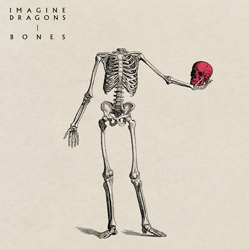 Produktbild zu: Bones