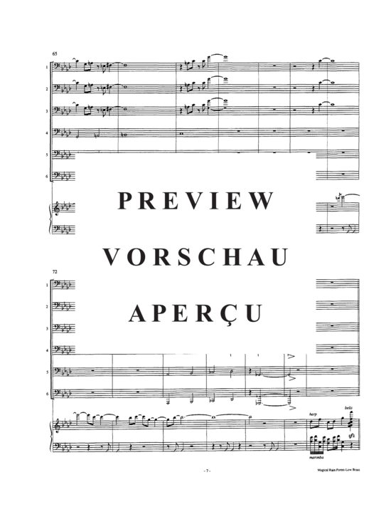 Produktgalerie: Seite 9 von 21 Into the Magical Rain Forest , , (Tuba Ensemble 1-6 Tuben + Tape)