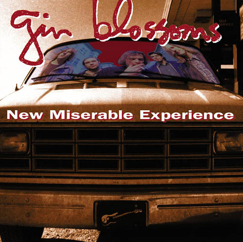 cover: Hey Jealousy, Gin Blossoms
