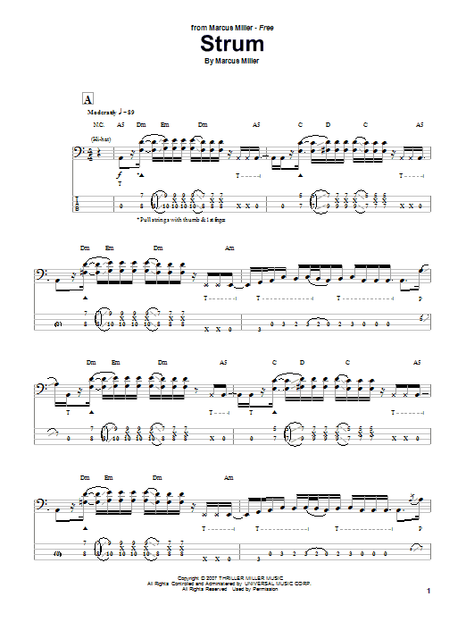 Produktgalerie: Seite 1 von 1 Strum, Marcus Miller, E-Bass