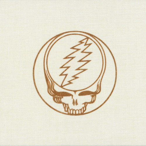 cover: Believe It Or Not, Grateful Dead, Gesang, Gitarre, Klavier