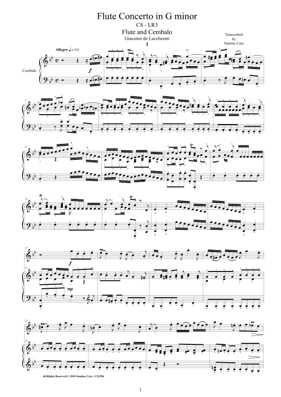 Produktbild zu: Flute Concerto in G minorGiacomo de Lucchesini