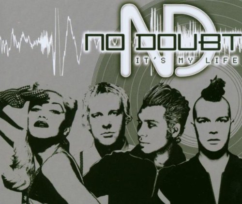cover: It's My Life, No Doubt, Gesang, Gitarre, Klavier