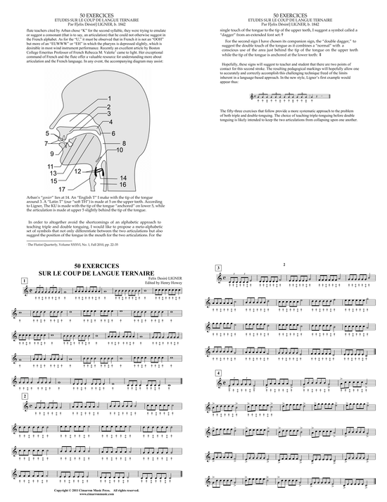 Produktbild zu: 50 Exercises Sur Le Coup De Langue TernaireFelix Desire Ligner