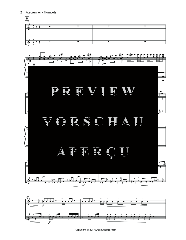 Produktgalerie: Seite 6 von 11 Roadrunner, , (Trio 2 Trompeten und Klavier)