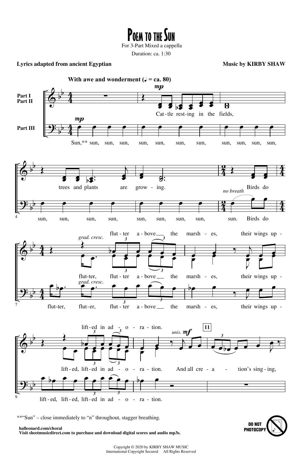 Produktbild zu: Poem To The Sun