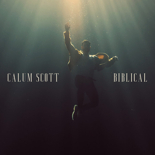 Produktbild zu: Biblical