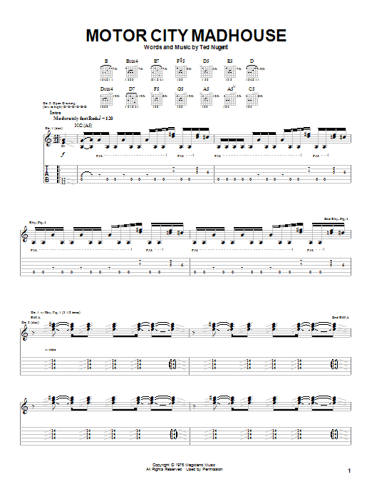Produktgalerie: Seite 1 von 1 Motor City Madhouse, Ted Nugent, Gitarre