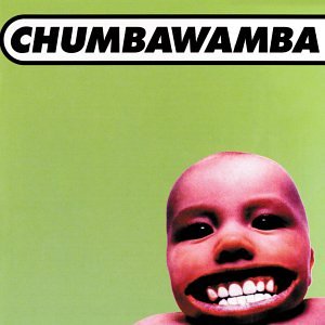 cover: Tubthumping, Chumbawamba, Gesang, Gitarre, Klavier