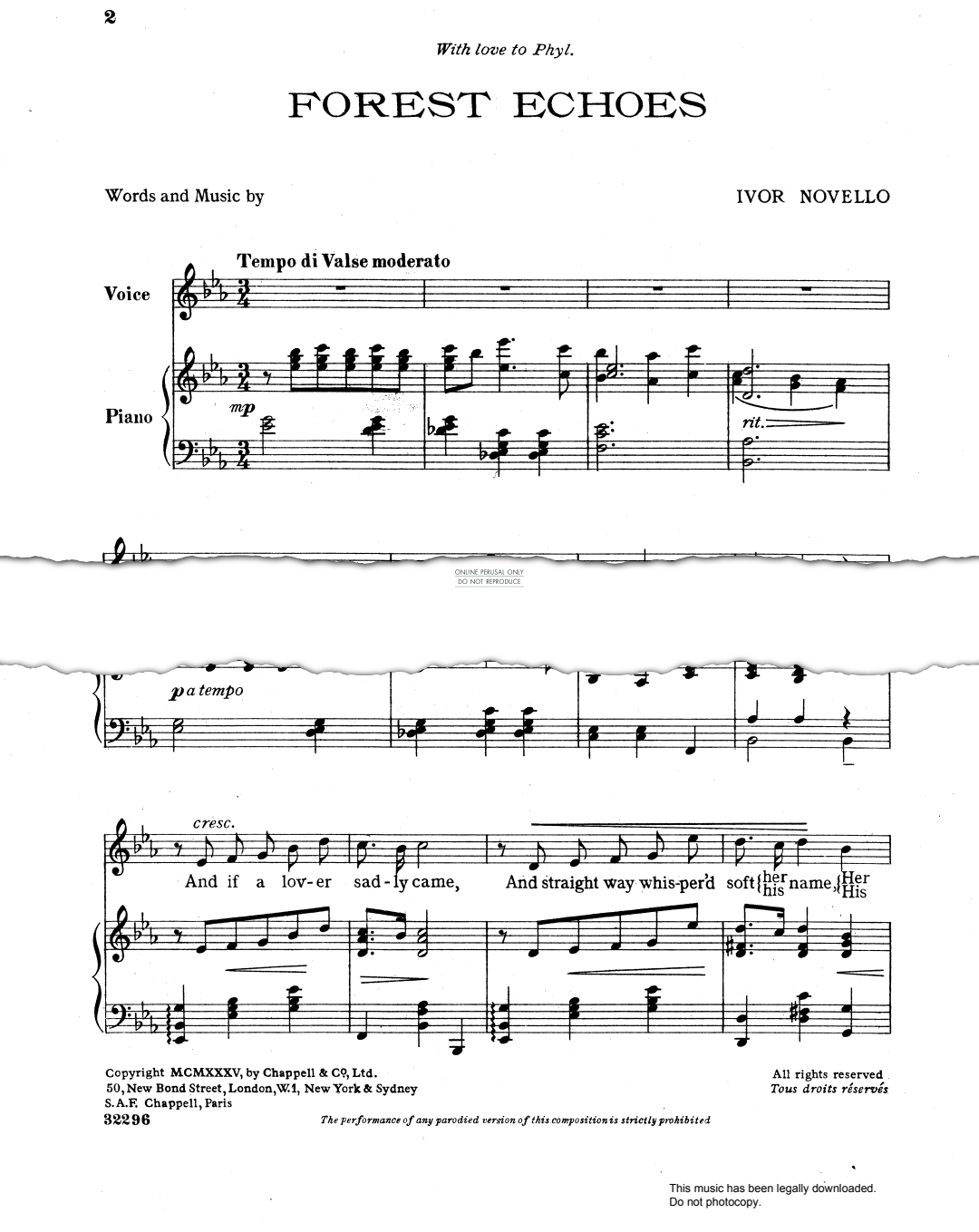 Produktbild zu: Forest Echoes