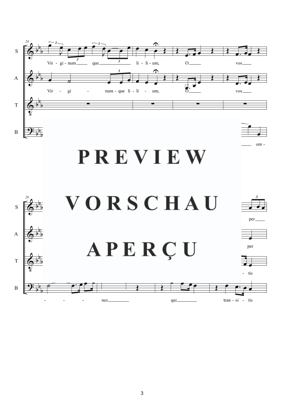 Produktgalerie: Seite 4 von 11 Ave Mater dolorosa - Sacred Motet, , Gemischter Chor a capella