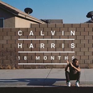 cover: Feel So Close, Calvin Harris, Gesang, Gitarre, Klavier