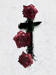 Produktbild zu: Roses